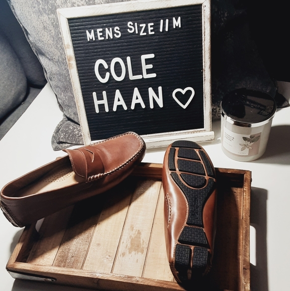 Cole Haan Other - Mens Cole Haan Howland Penny Moc Shoe